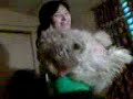 ARORÒÒÒÒÒÒÒ MY DOGG ARORÒÒÒÒÒÒÒ MY DOGG
