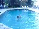 atlanta jayhawks beautiful water routine..go waterlillies!!!
