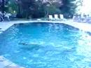 atlanta jayhawks beautiful water routine..go waterlillies!!!