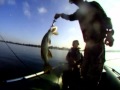 pike session 2011 part 2