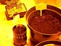 My indoor hydroponic and soil grow room