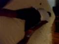videos de booboos