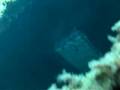 videos de Shipwreck on a single breath 2