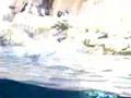 Attention defecit disorder Penguin