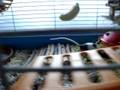 videos de Pixy en Dixy