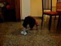 Zapatillas con luces