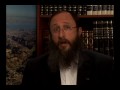 Weekly Torah Portion: Matot-Masei