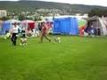 DOG SHOW DRAMMEN 17-08-2008