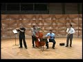 Fast Flute - The Hibiee-Jibiees - Venezuelan Music