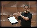 Fast Flute - The Hibiee-Jibiees - Venezuelan Music