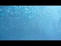 videos de blowing bubbles