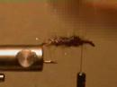 EZ NO Stinking Dubbin Brush U.V.A. Flies EZ NO Stinking Dubbin Brush U.V.A. Flies