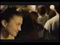 gomez video for 78 stone wobble.