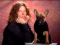 Shaun White 4 Target: Lifes Work
