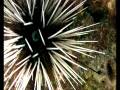 videos de Scuba Discovery dive in Koh Chang