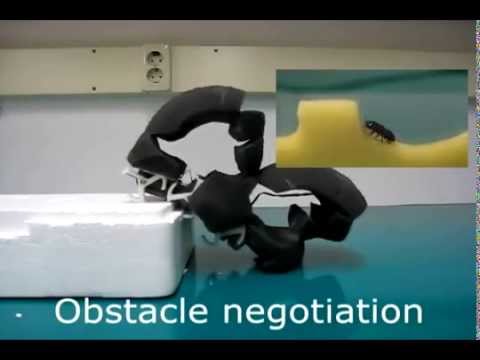 Pillbot, bio-inspired robot from KAIST