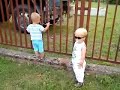 Antun i Viktor - kamion