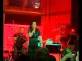Shantel & Bukovina Club Orchester (live at Flüchtlingsball)