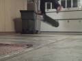 videos de flatground