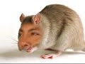 Martin Benitez Presidente Tlapa Gro