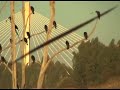 Este video es sólo un ejemplo de esos otros mundos que tenemos tan cerca y quizás no conozcamos. Se trata de una mínima muestra de 