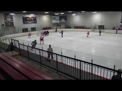 - Emerson Goode Clips Jr Ducks U18AAA vs Belle Tire 2020
