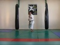 AMIR SAAD KARATE KATA HIAN NEDAN 2 אמיר סעד קראטה עם הסבר אנגלית