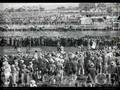 horse: PHAR LAP TRIBUTE