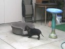 Milly Von Silly