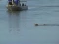 Tug O\