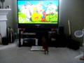 videos de MOV01311.MPG