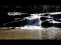 Musgrove Mill 058.MOV