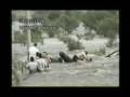 Rescate del tractorista