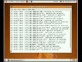 sudo rm -rf /* on linux
