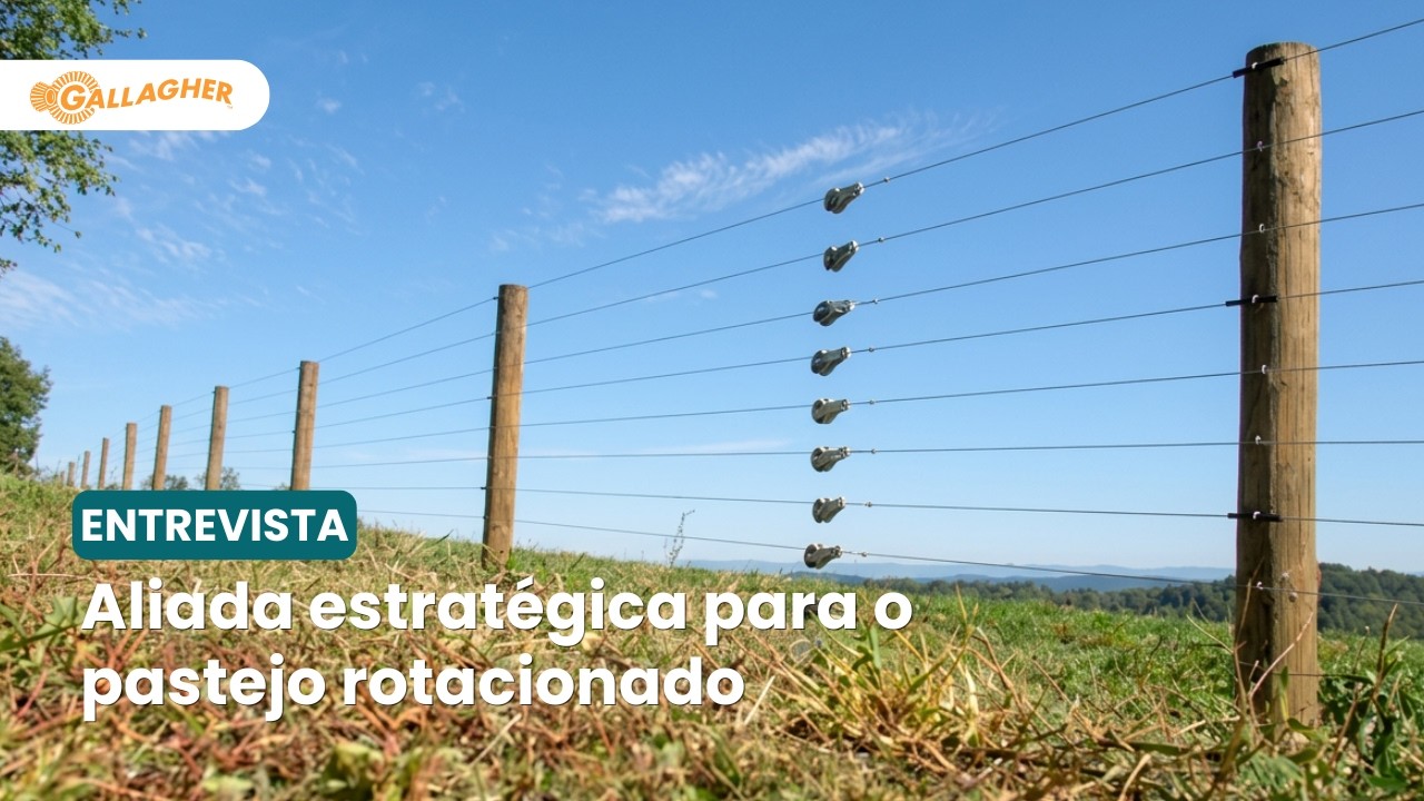 Mais eficiente e de menor custo, cerca elétrica ainda não é usada por 95% das fazendas