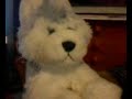 subscriber and friend ov the month!!!!