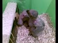 Aqu� vuelven los peques