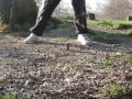 videos de phone smash