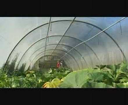 Cyrenians Farm Sowing Dreams (part 1)