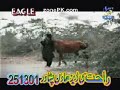 yawa wrozay pa sahra ke - Thumb #1