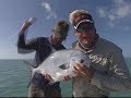 Permit On Fly