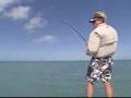 Permit On Fly