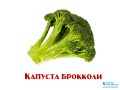Презентация для детей 