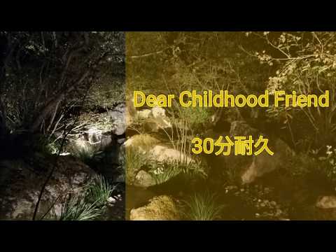 動画