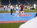 Johnny Nguyen vs Arnell
