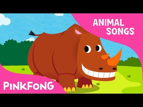 Ballerino Rhinoceros | Rhinoceros | Animal Songs | Pinkfong Songs for Children