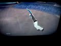 Skate.Demo (PS3) Bug