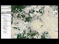 MODIS deforestation
