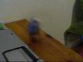 Hardyentrainement.wmv