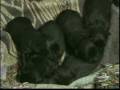 videos de UrkixUna1wk